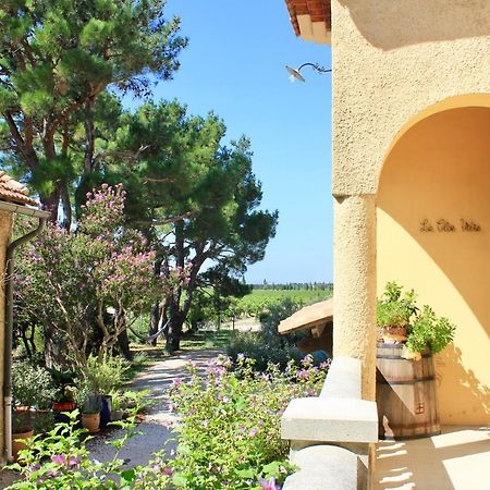 Le Clos Vitis Violès Exteriér fotografie