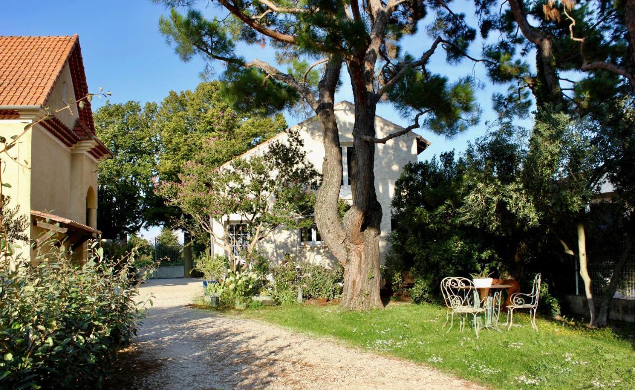 Le Clos Vitis Violès Exteriér fotografie